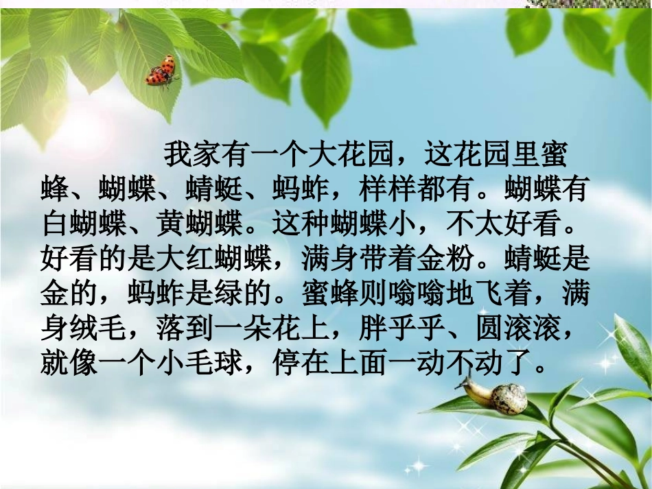 《祖父的园子》PPT_第3页