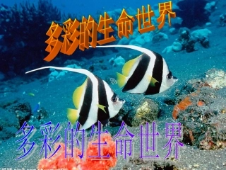 鲁教版七年级上册第一单元11多彩的生命世界