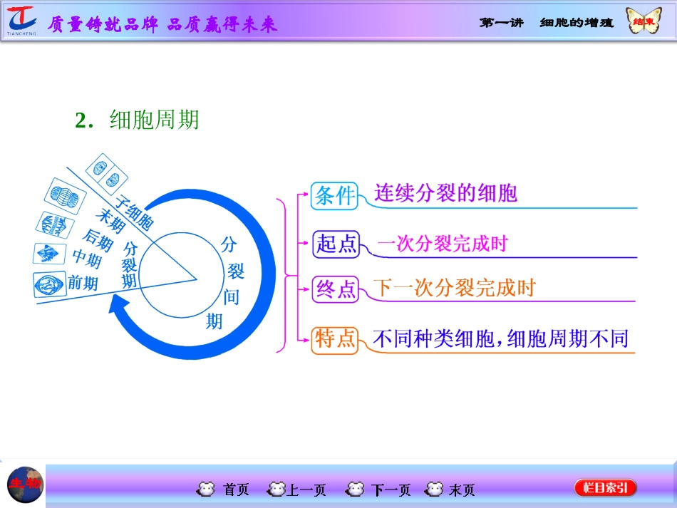 第一讲细胞的增殖_第3页