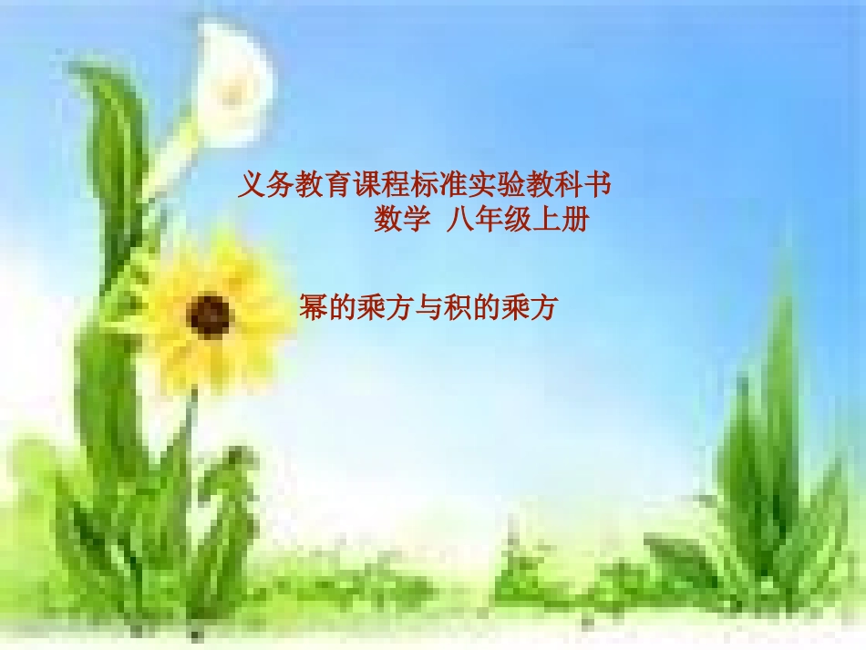 幂的乘方与积的乘方课件_第1页