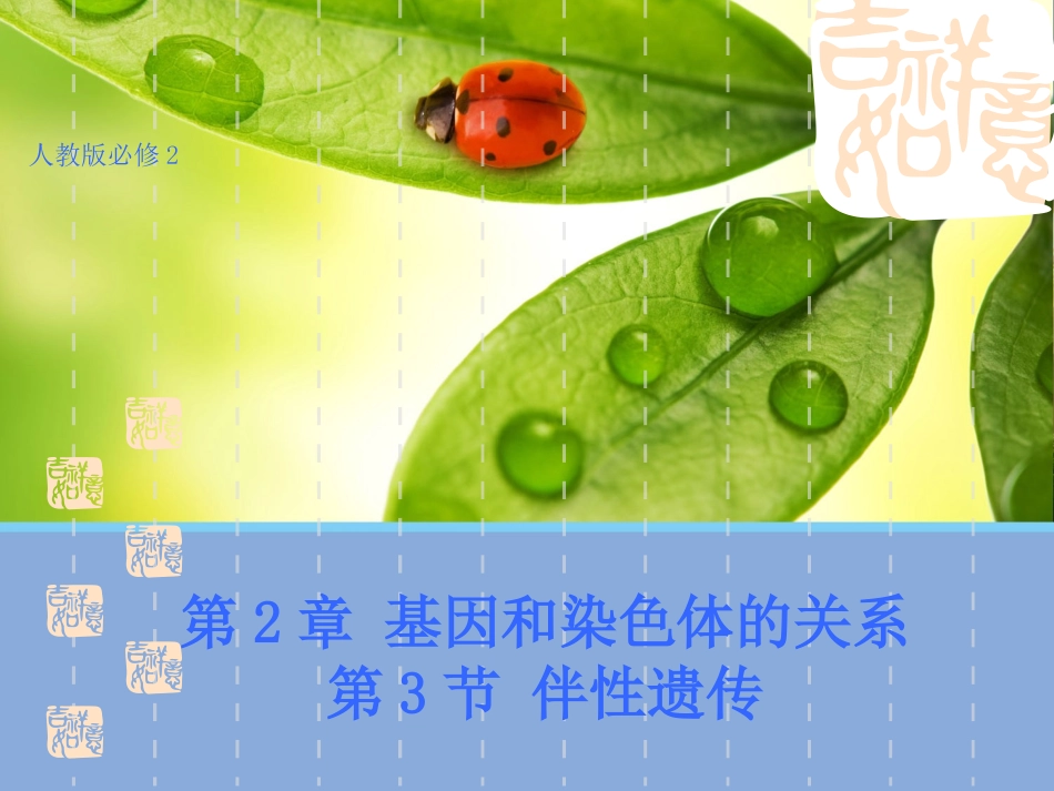 【生物】23伴性遗传课件1（人教版必修2）_第1页