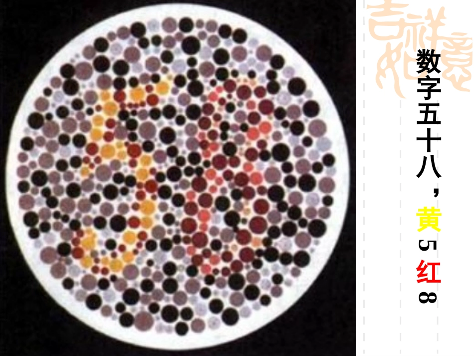 【生物】23伴性遗传课件1（人教版必修2）_第3页