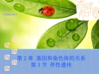 【生物】23伴性遗传课件1（人教版必修2）
