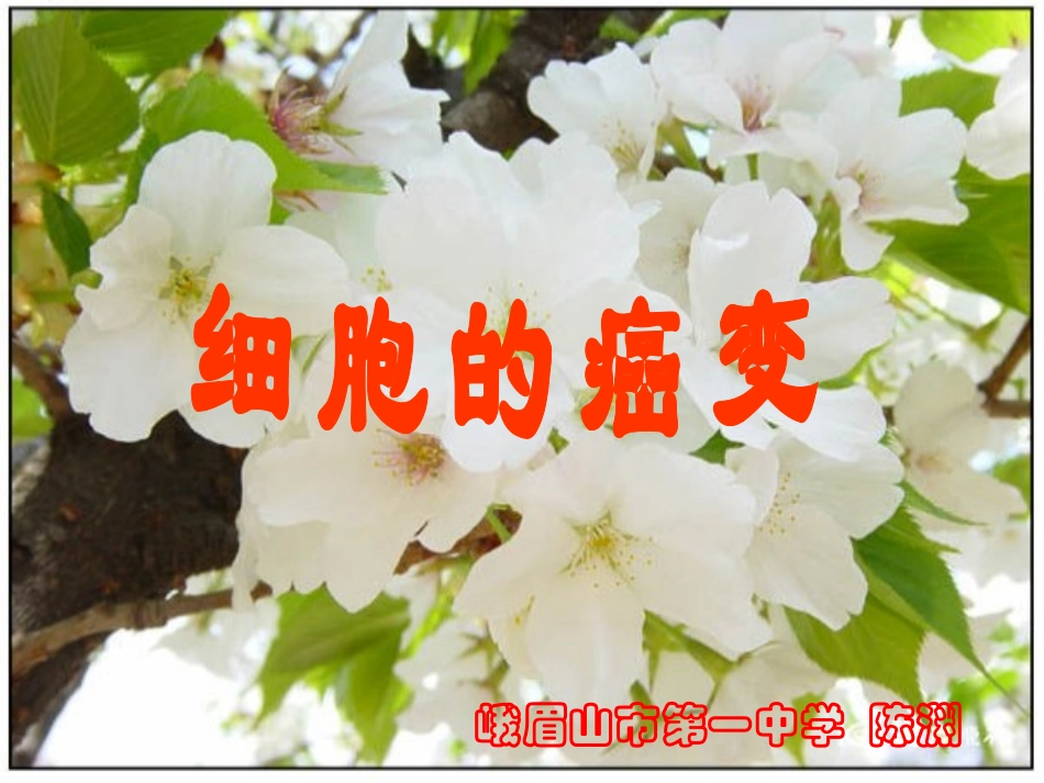 细胞的癌变__第1页