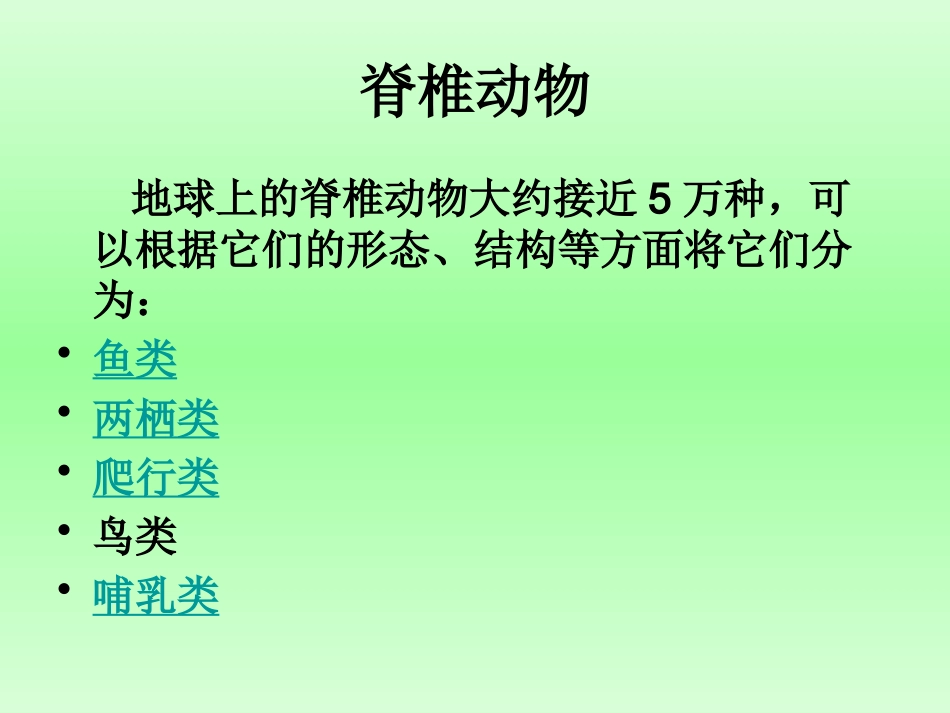 动物的主要类群_第2页