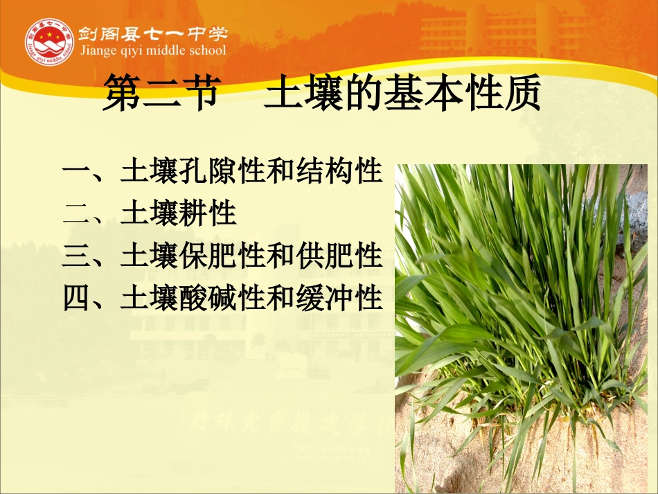 -第二节土壤的基本性质_第2页