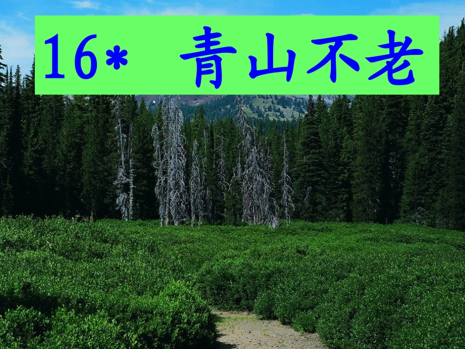 《青山不老》[_第1页