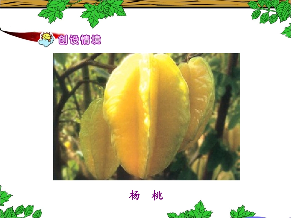 《画杨桃》教学课件_第3页