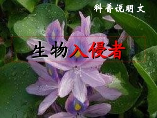 八语·生物入侵者1