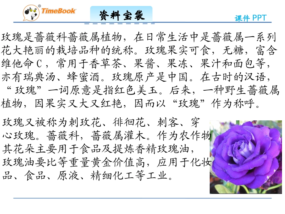 吉林版语文三年级下册《紫色的小花》_第2页