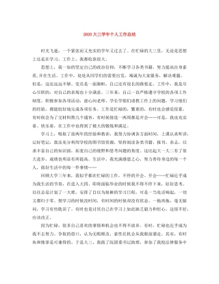 大三学年个人工作总结