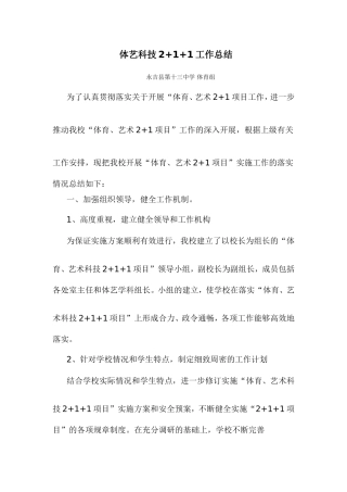 “体育、艺术2+1+1项目”工作总结