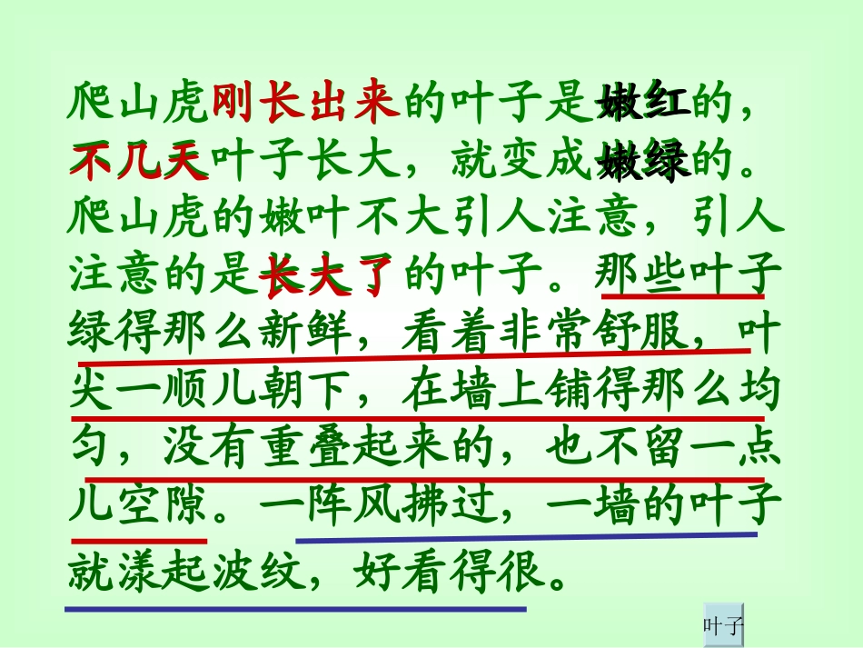 《爬山虎的脚》课件第二课时[1]_第3页