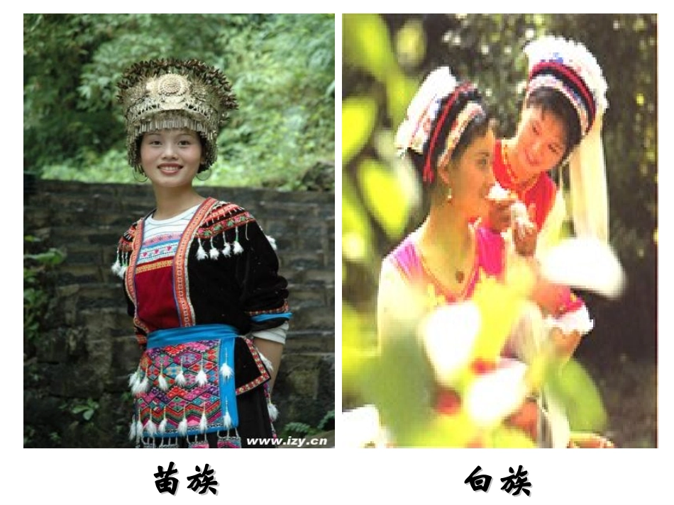 统一的多民族国家_第3页