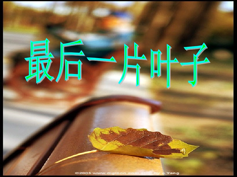 最后一片叶子雷明东）_第1页