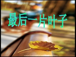 最后一片叶子雷明东）