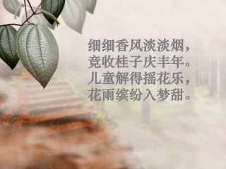 五上桂花雨PPT