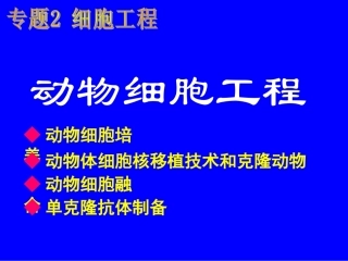 动物细胞工程(上课)
