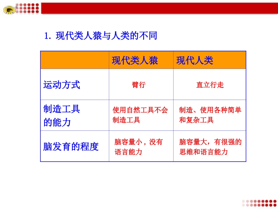 现代类人猿与人类的不同_第1页