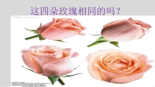 作文课件多角度描写景物