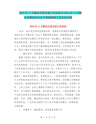 2024年11月新农办党支部工作总结与2024年11月新农村建设试点农户家庭建档工作总结汇编