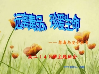 远离毒品珍爱生命禁毒教育