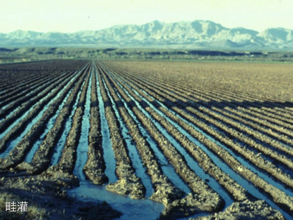 第三单元第三章第三节绿色植物参与生物圈的水循环_第2页