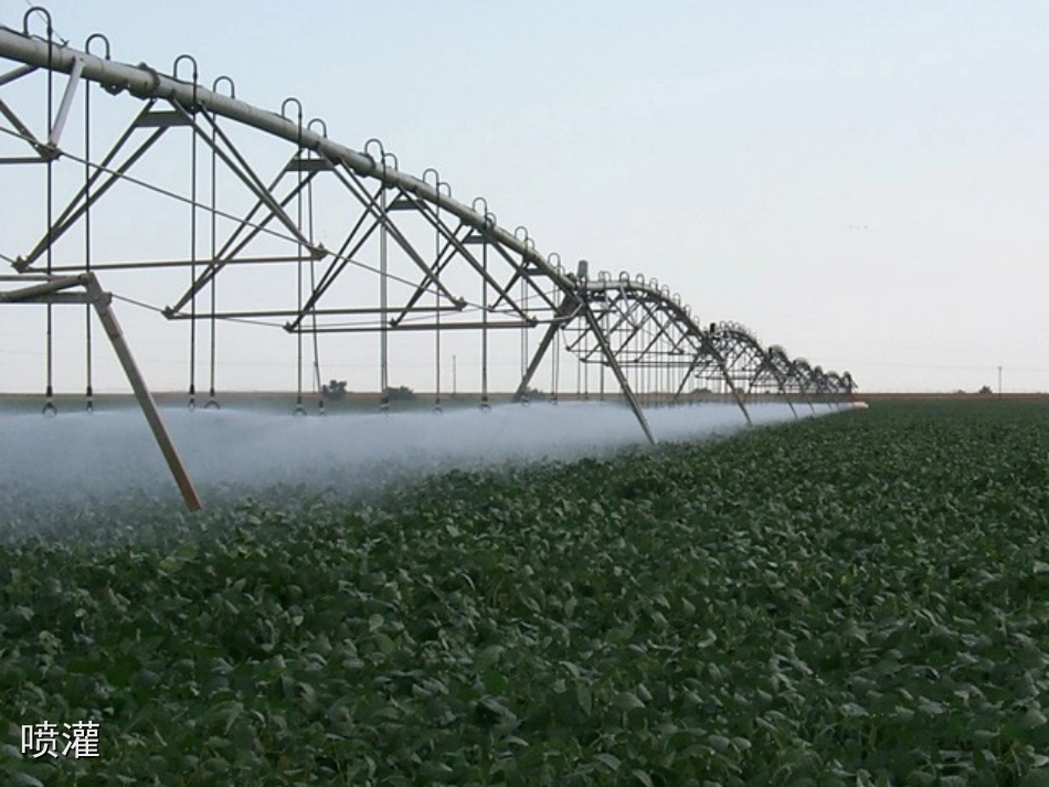 第三单元第三章第三节绿色植物参与生物圈的水循环_第3页