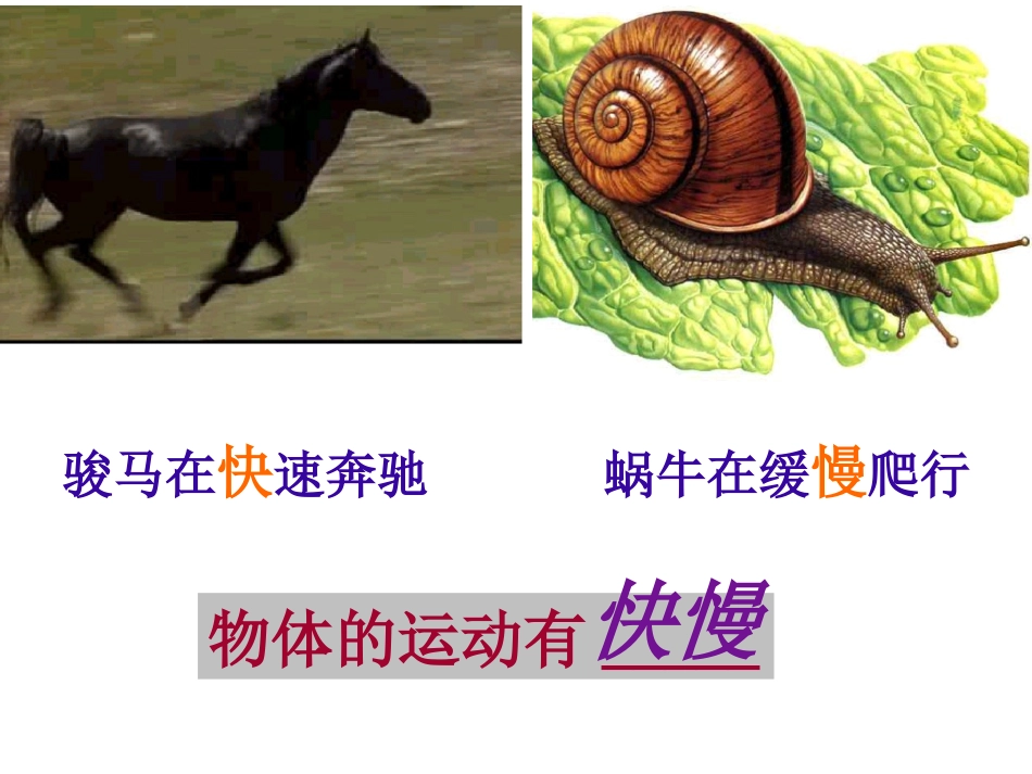 沪科版物理第二章第三节：快与慢_第2页