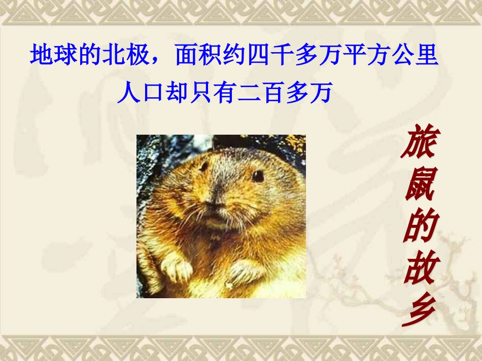《旅鼠之谜》课件_第2页