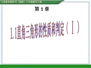直角三角形的性质和判定（1）
