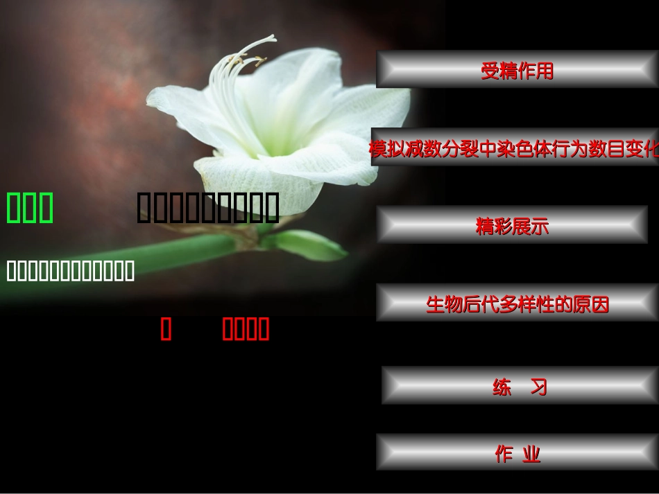 二受精作用课件_第3页