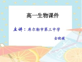 二受精作用课件