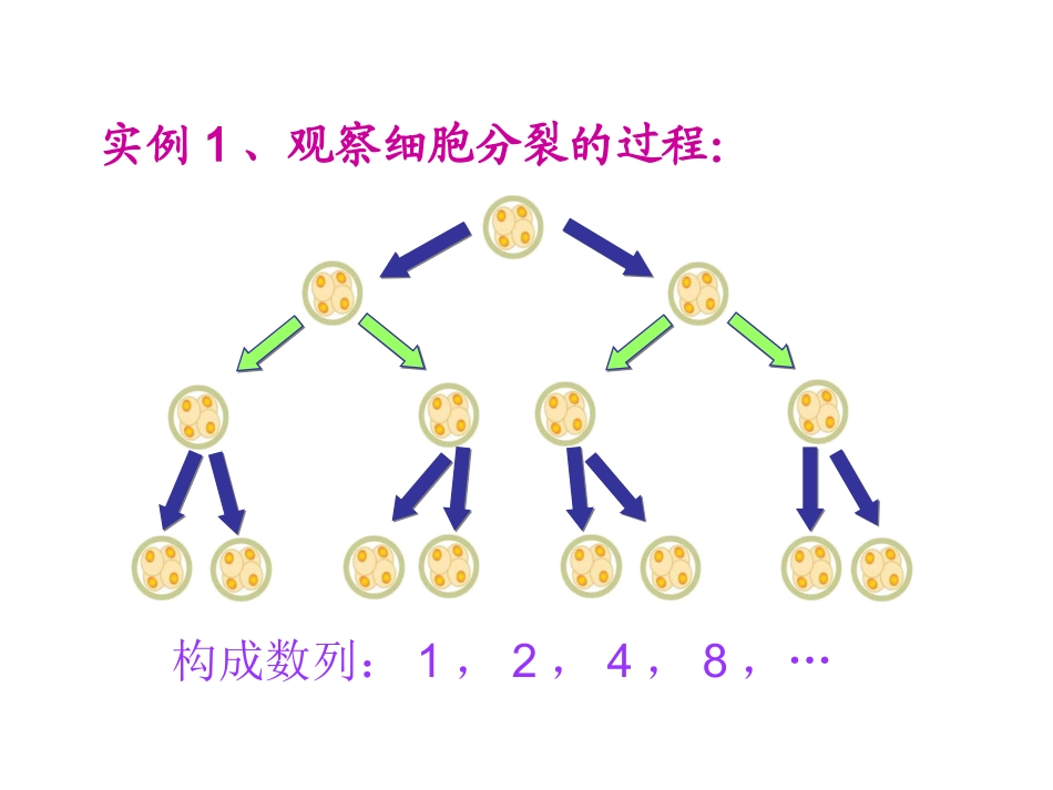 等比数列（一）_第2页