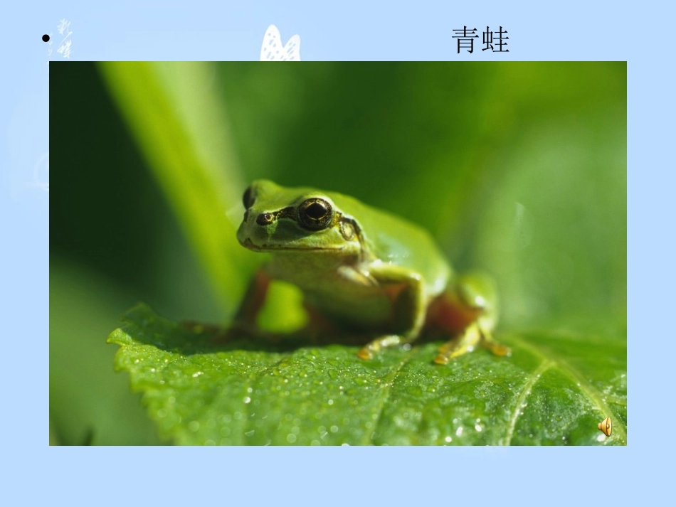 预备班品生品社下册第一课时课件_第3页