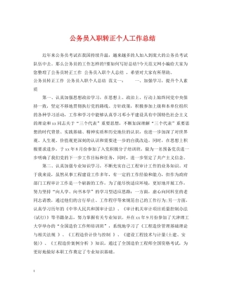 公务员入职转正个人工作总结
