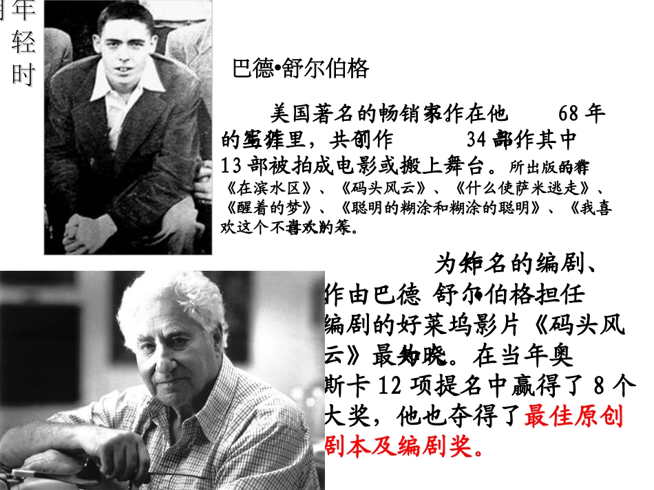 “精彩极了”和“糟糕透了”课件_第2页