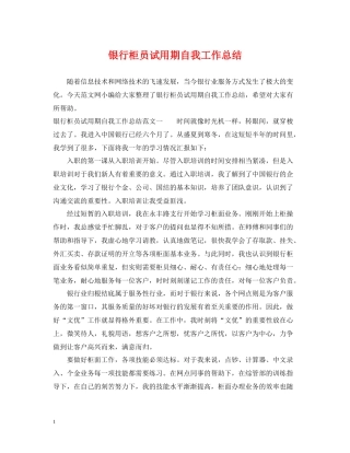银行柜员试用期自我工作总结