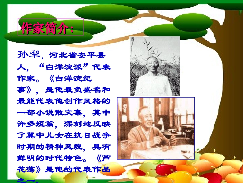 《芦花荡》1_第3页