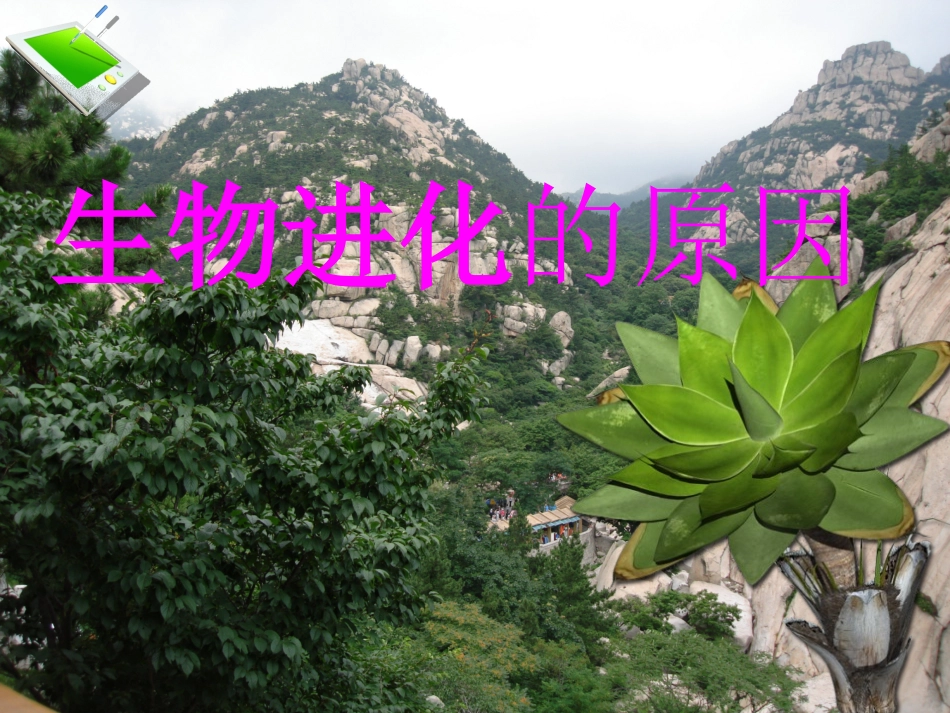 第三节生物进化的原因（共55张PPT）_第1页