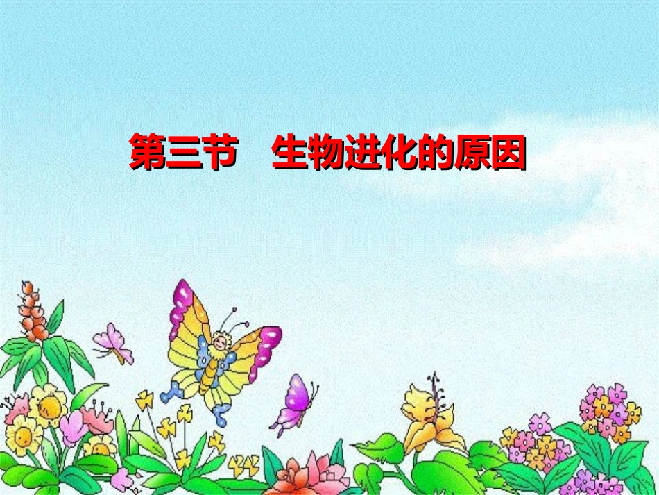 第三节生物进化的原因（共55张PPT）_第3页