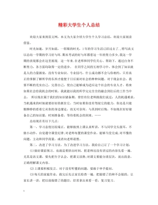 精彩大学生个人总结