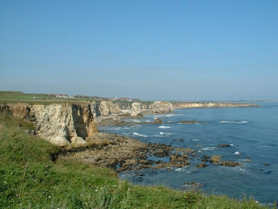 《画家乡》课件 (2)_第2页