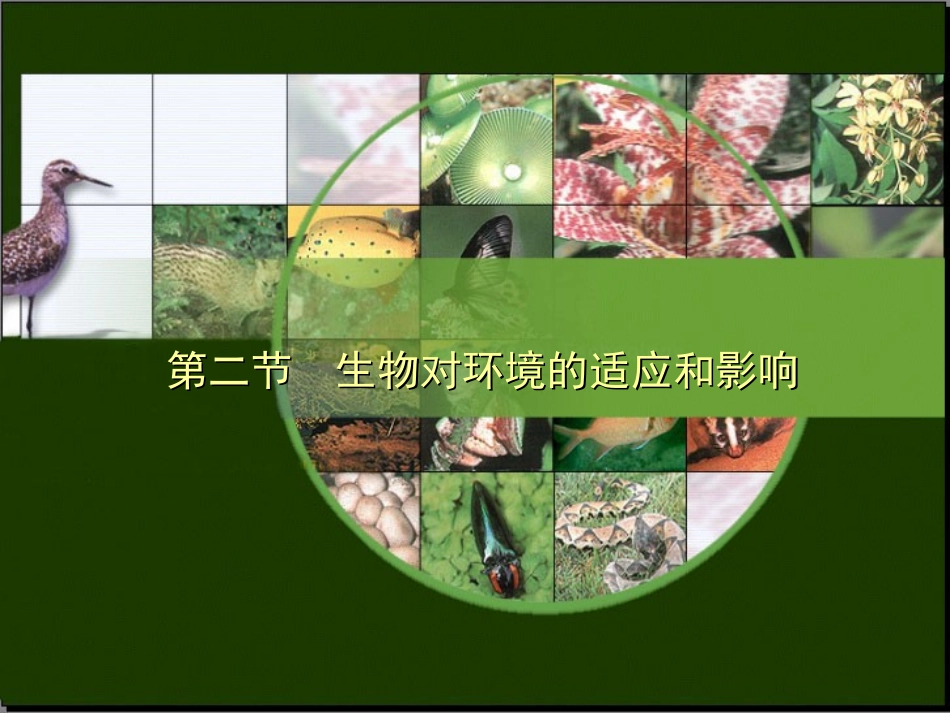 第二节生物对环境的适应和影响_第1页