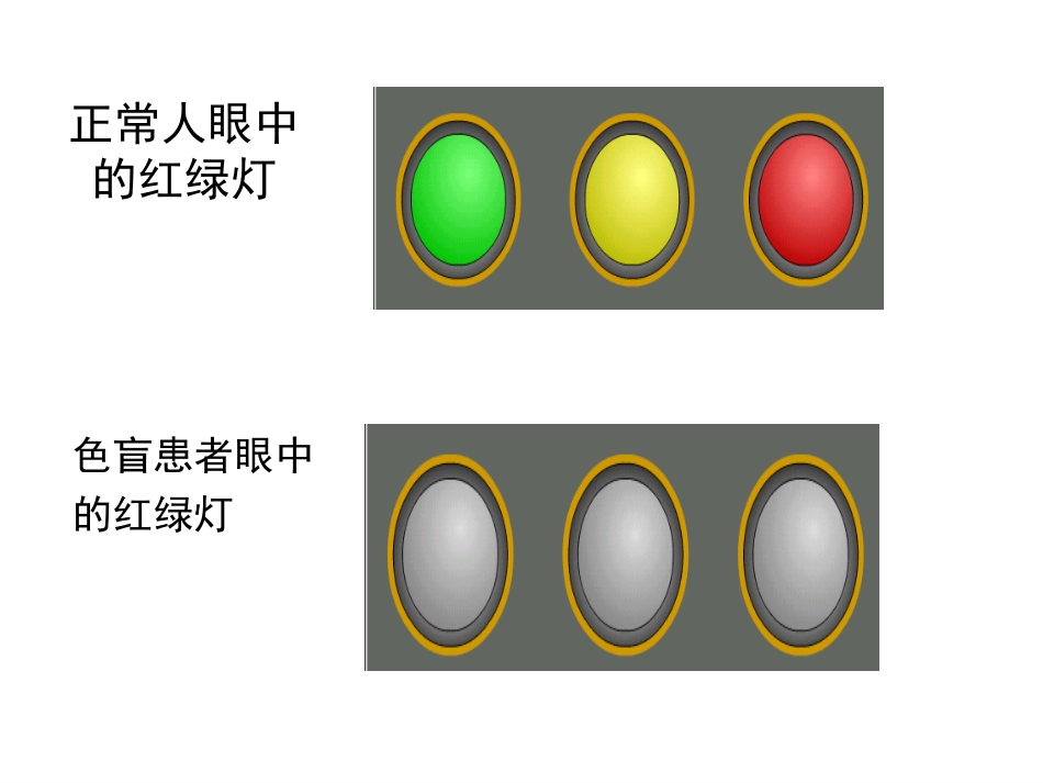 性别决定和伴性遗传_第3页