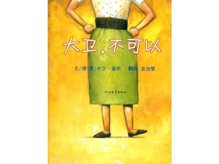 大卫不可以2