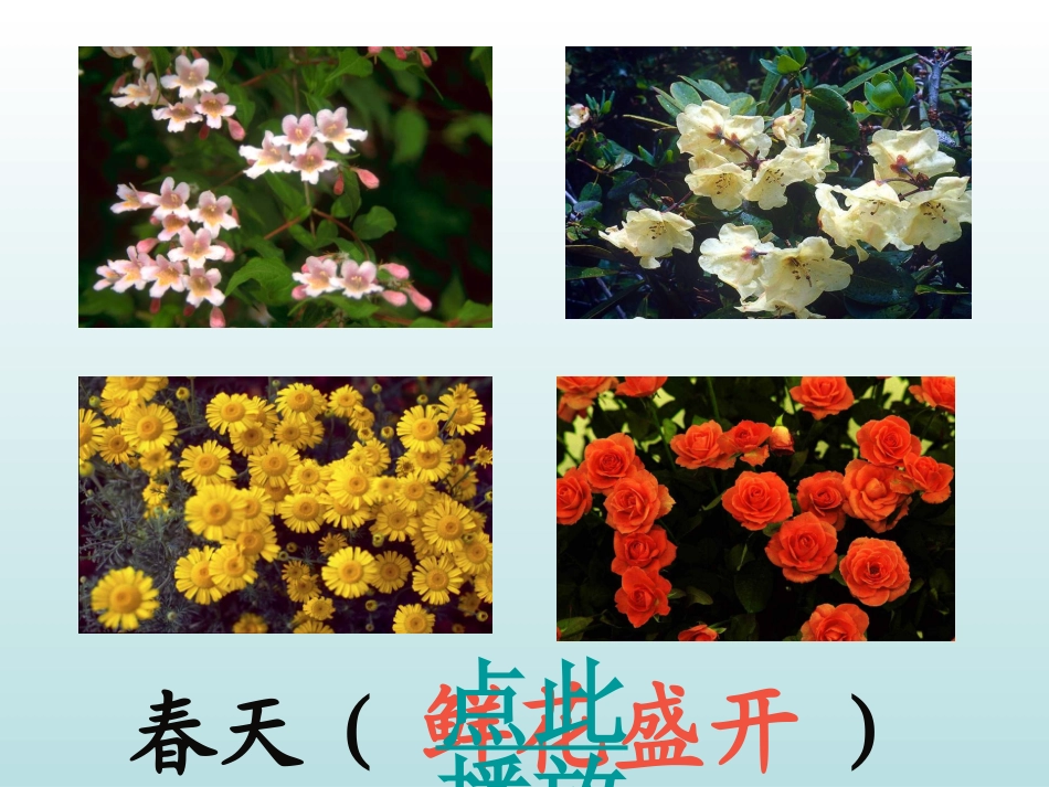 巨人的花园子_第2页