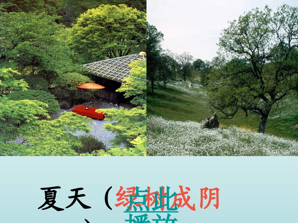 巨人的花园子_第3页