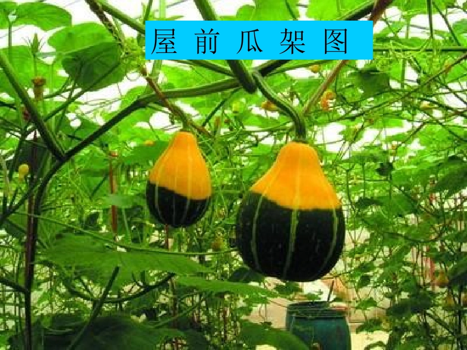 乡下人家 (2)_第2页