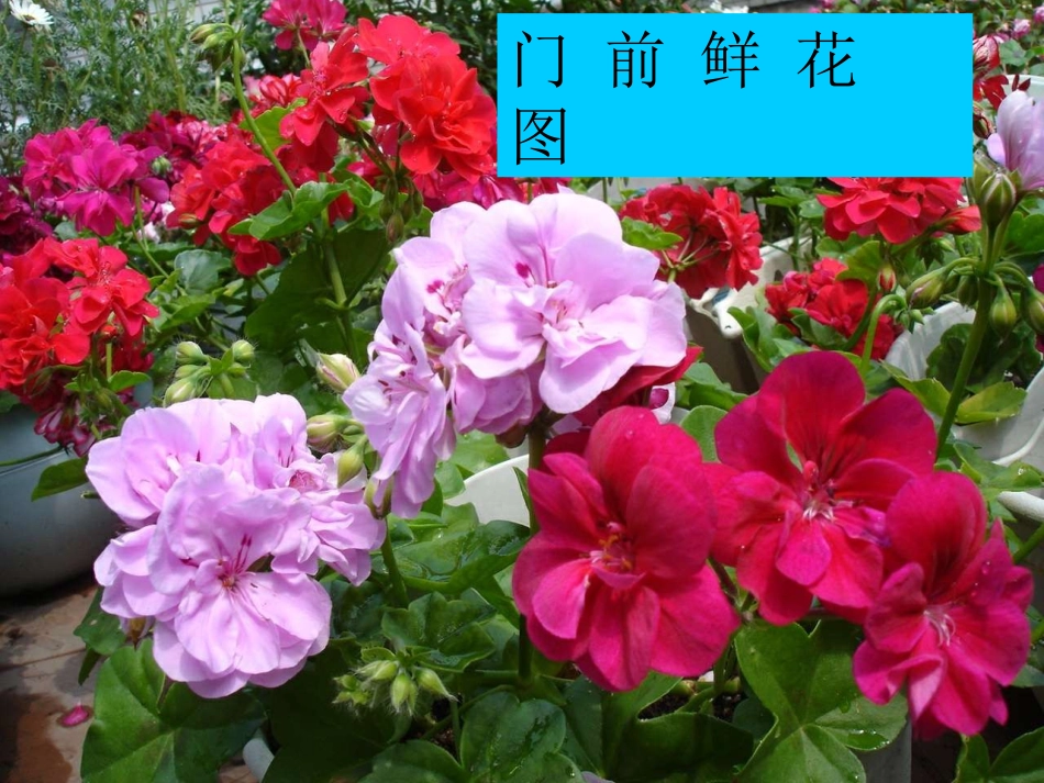 乡下人家 (2)_第3页